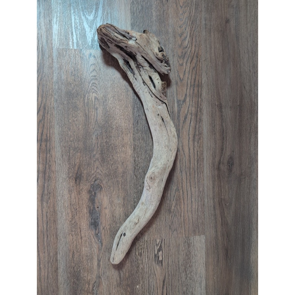 Driftwood So Cal CA Beach Ocean Wood Sculpture Root Art Landscape Garden Decor